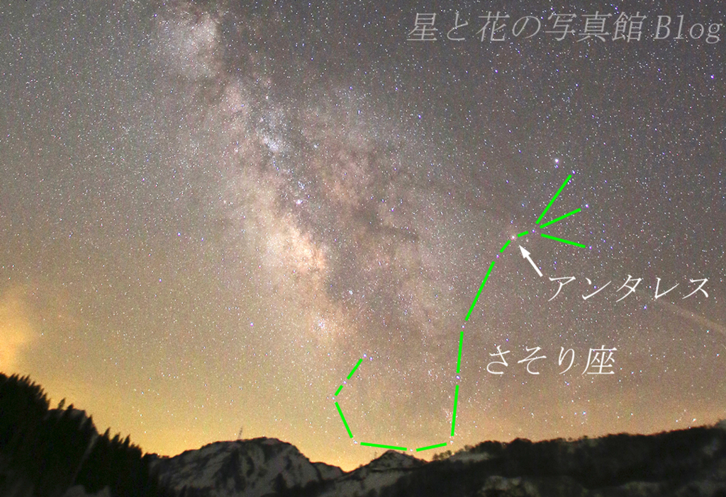 さそり座とアンタレスの話 - 星と花の写真館Blog