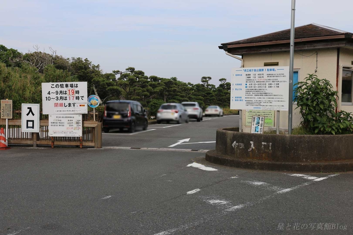 f:id:hoshi-hana:20190630020007j:plain f:id:hoshi-hana:20190630020007j:plain