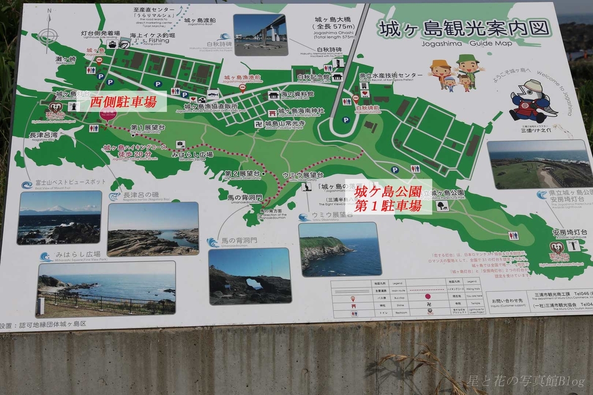 f:id:hoshi-hana:20190630020627j:plain f:id:hoshi-hana:20190630020627j:plain