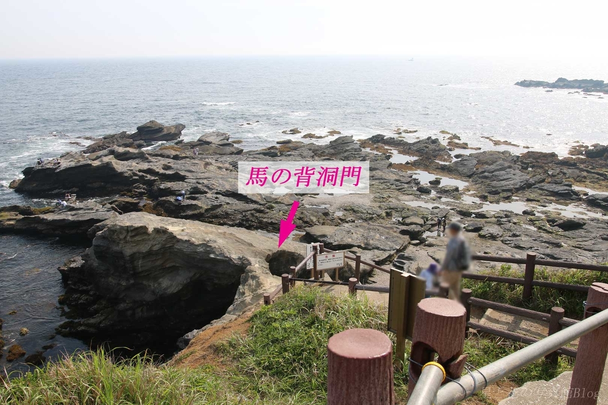 f:id:hoshi-hana:20190630021442j:plain f:id:hoshi-hana:20190630021442j:plain