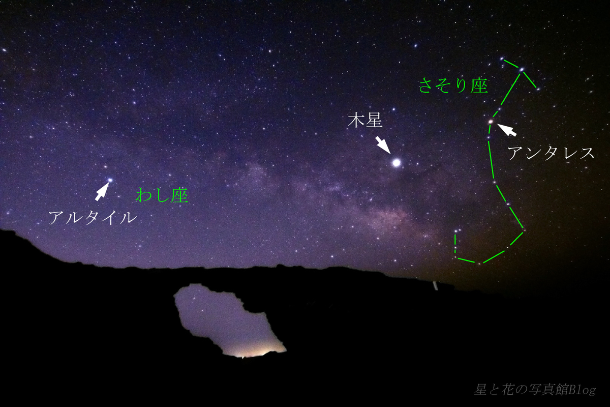 f:id:hoshi-hana:20190630161649j:plain f:id:hoshi-hana:20190630161649j:plain