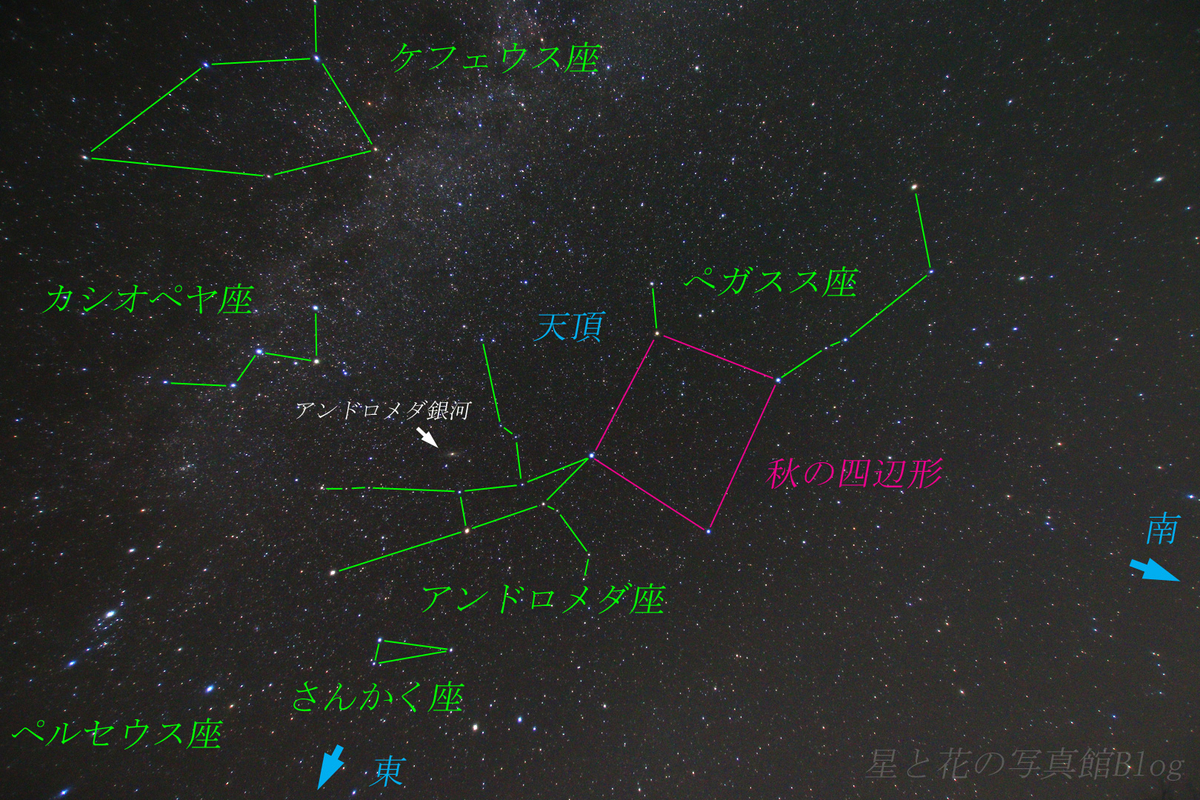 f:id:hoshi-hana:20200617230120j:plain