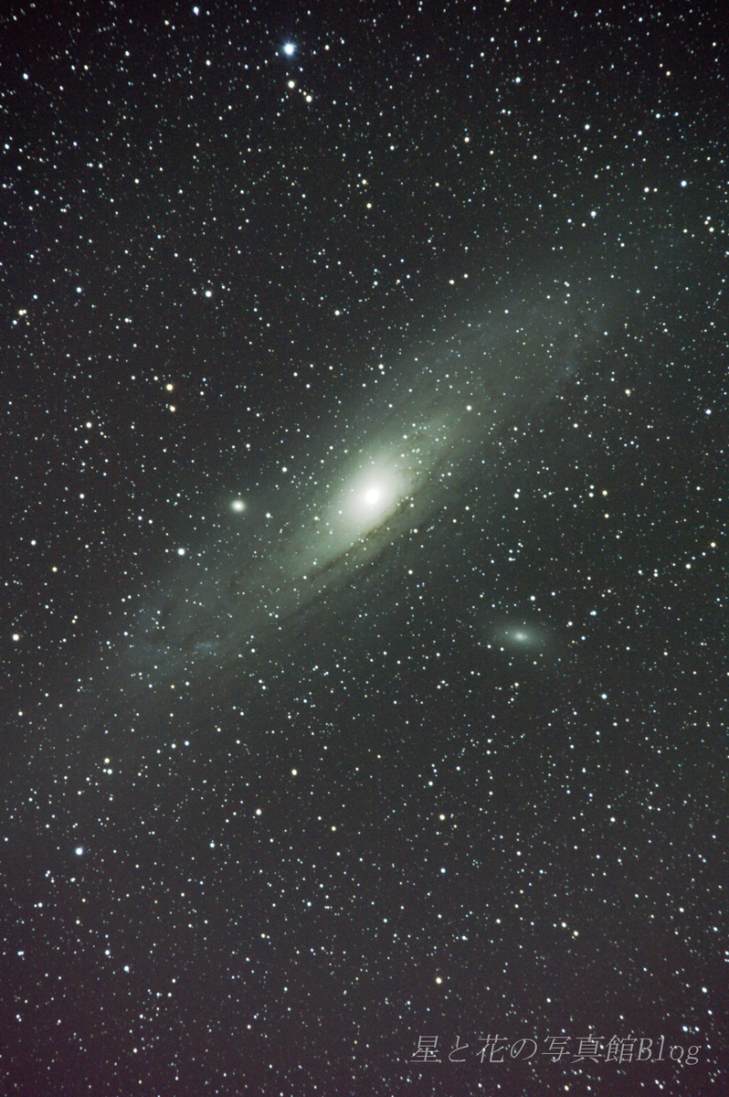 600mm超望遠レンズで天体撮影⑥ アンドロメダ銀河 - 星と花の