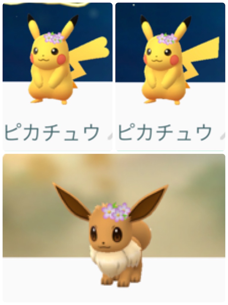 f:id:hoshi_dachi3:20190228183136j:image
