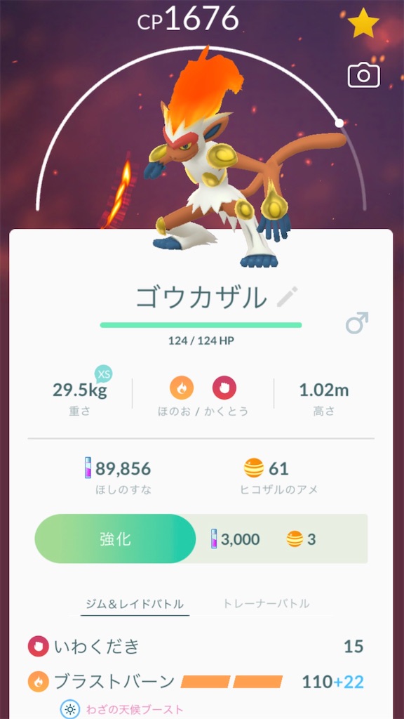 f:id:hoshi_dachi3:20191116155955j:image f:id:hoshi_dachi3:20191116155955j:image