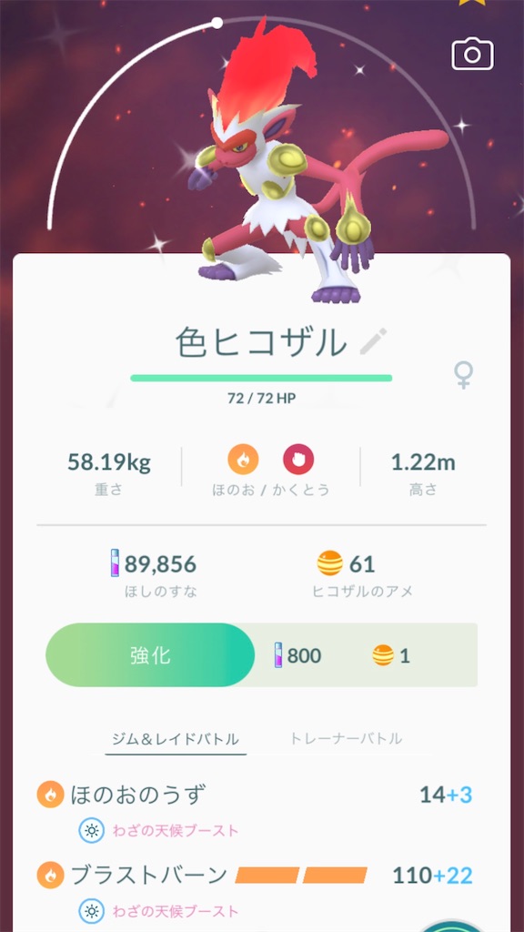 f:id:hoshi_dachi3:20191116160622j:image f:id:hoshi_dachi3:20191116160622j:image