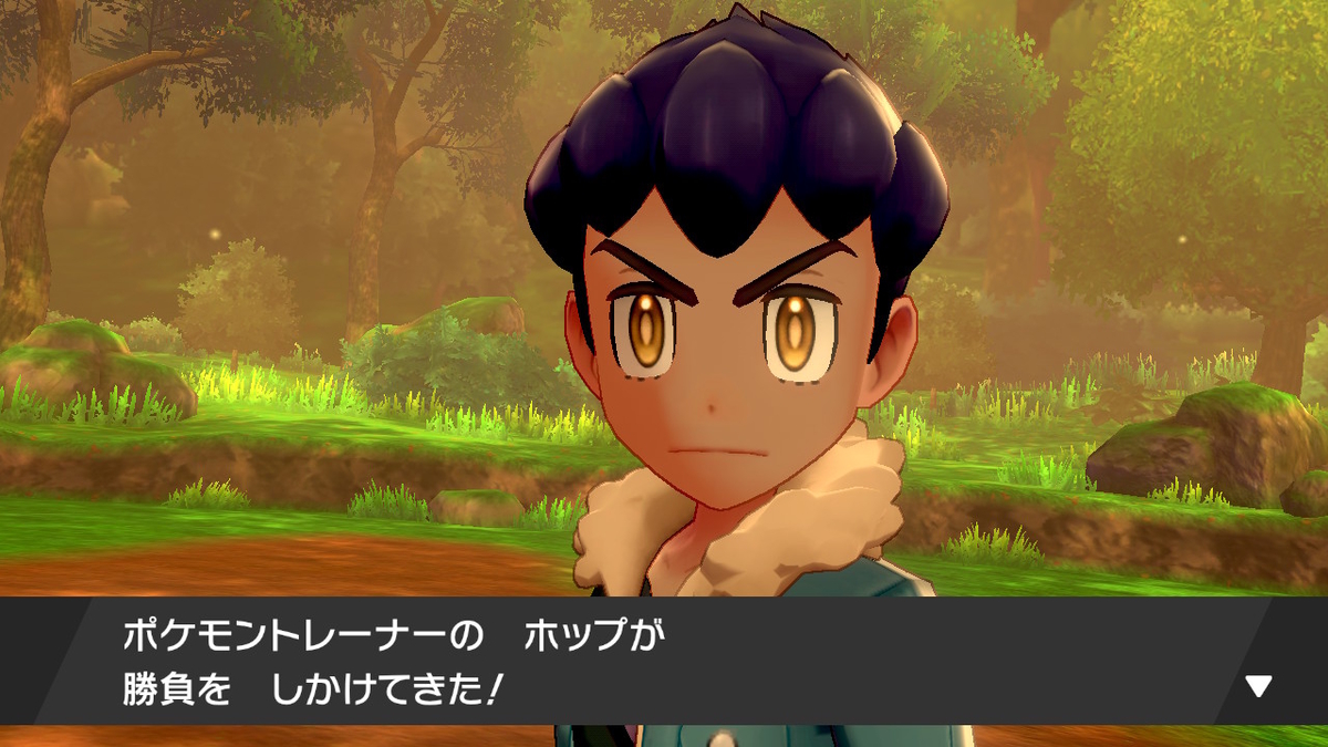 f:id:hoshi_dachi3:20191228211222j:plain f:id:hoshi_dachi3:20191228211222j:plain