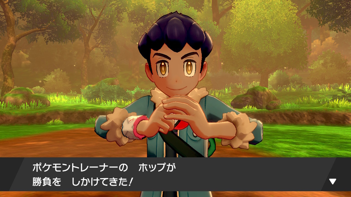 f:id:hoshi_dachi3:20191228214052j:plain f:id:hoshi_dachi3:20191228214052j:plain