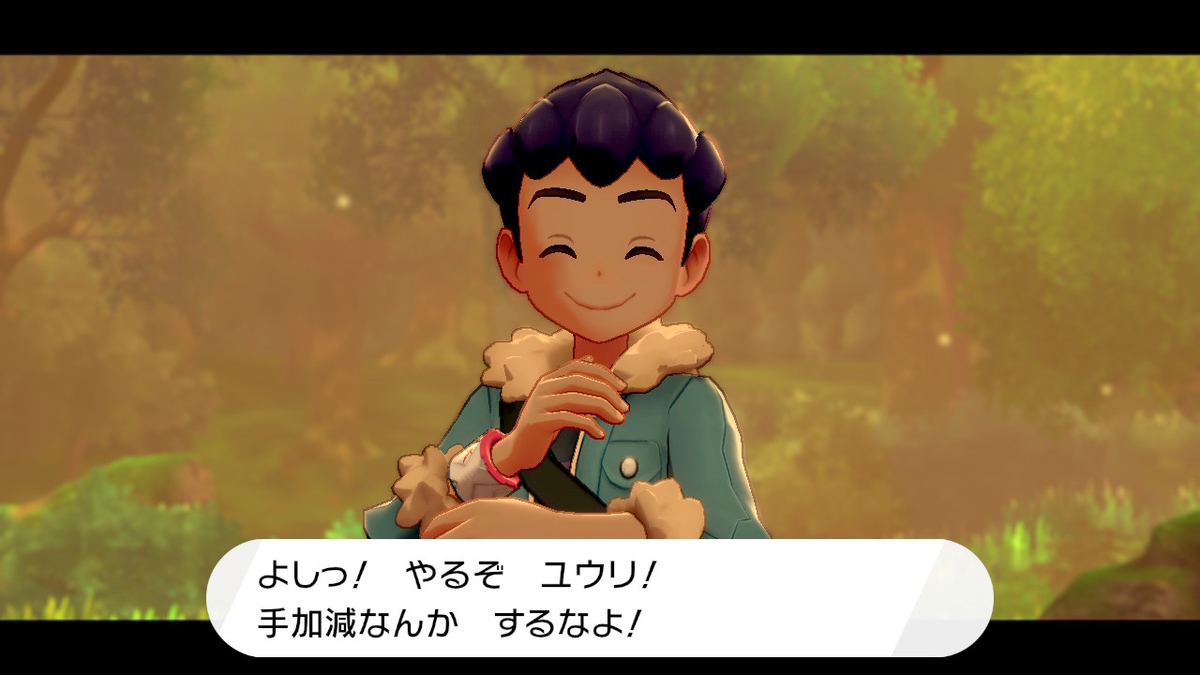 f:id:hoshi_dachi3:20191228214247j:plain f:id:hoshi_dachi3:20191228214247j:plain