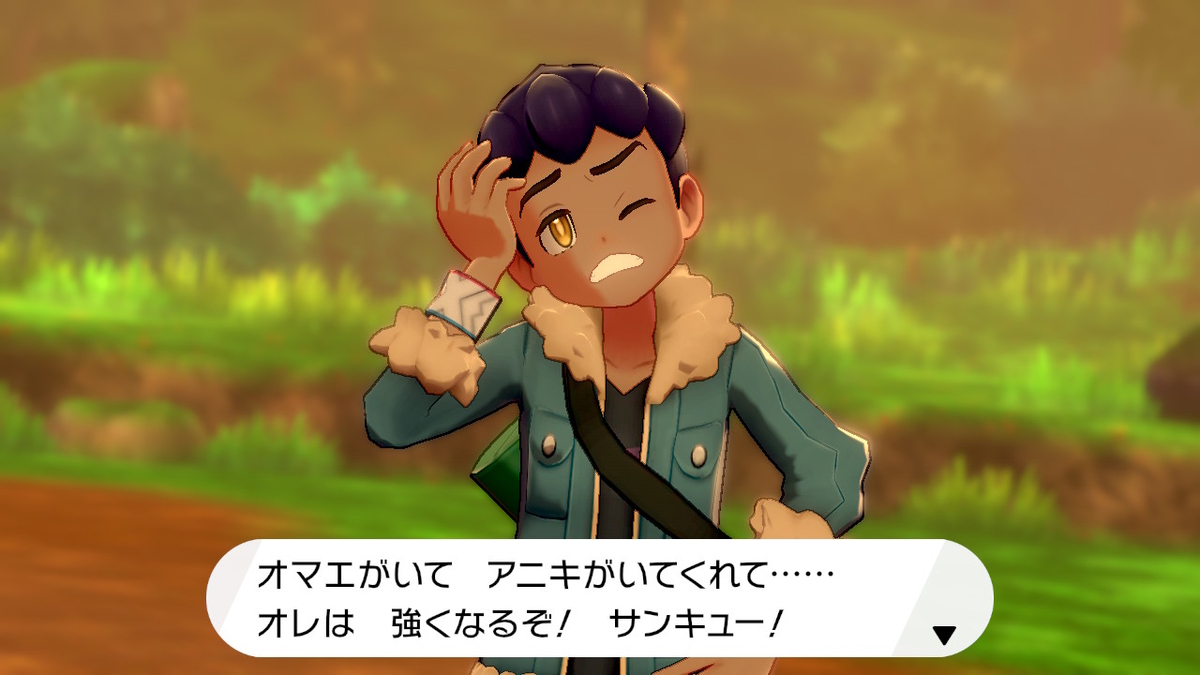 f:id:hoshi_dachi3:20191228215142j:plain f:id:hoshi_dachi3:20191228215142j:plain