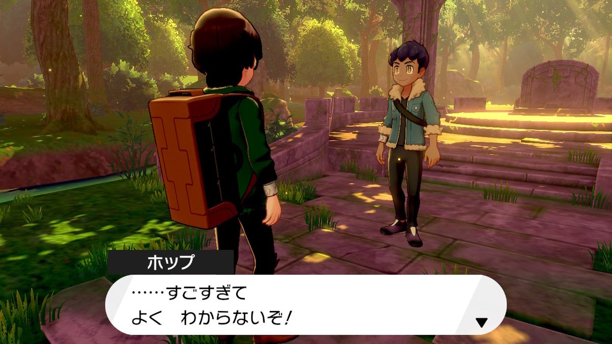 f:id:hoshi_dachi3:20191228220805j:plain f:id:hoshi_dachi3:20191228220805j:plain