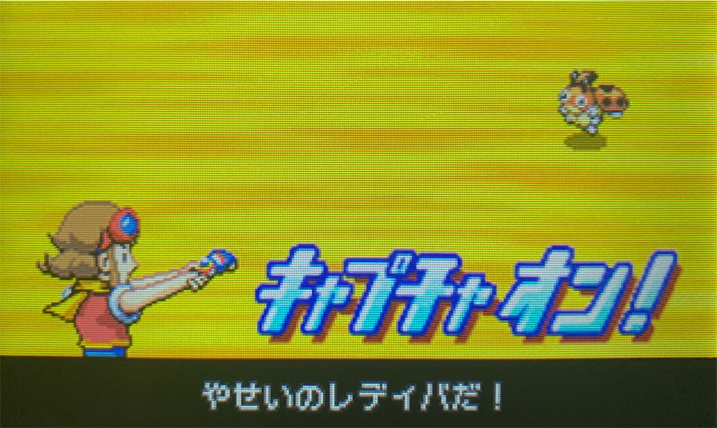 f:id:hoshi_dachi3:20200225190040j:image