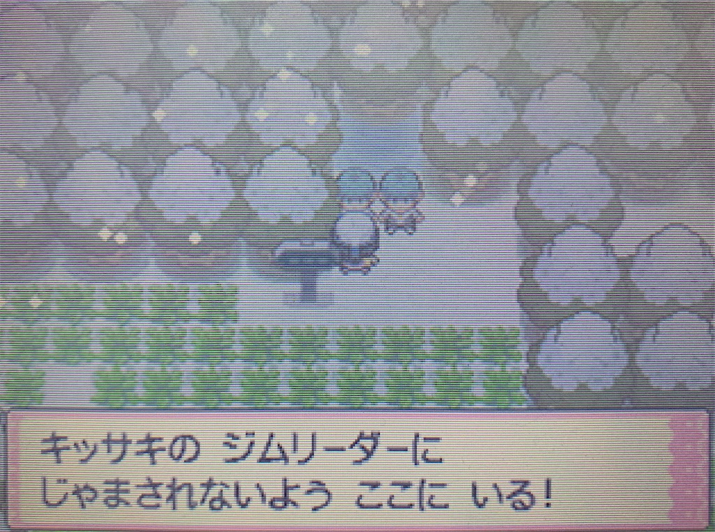 f:id:hoshi_dachi3:20201011194256j:image