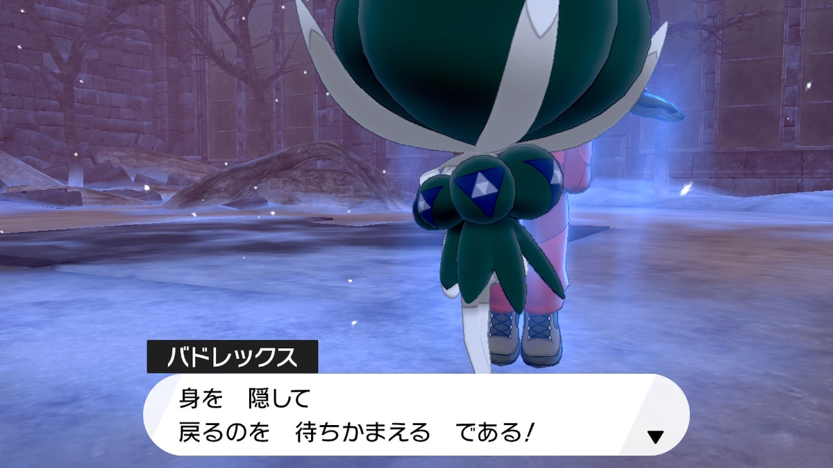 f:id:hoshi_dachi3:20201031161515j:plain
