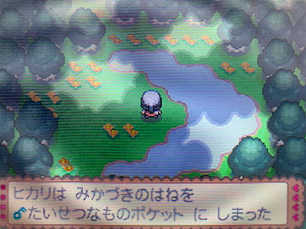 f:id:hoshi_dachi3:20201115122737j:image
