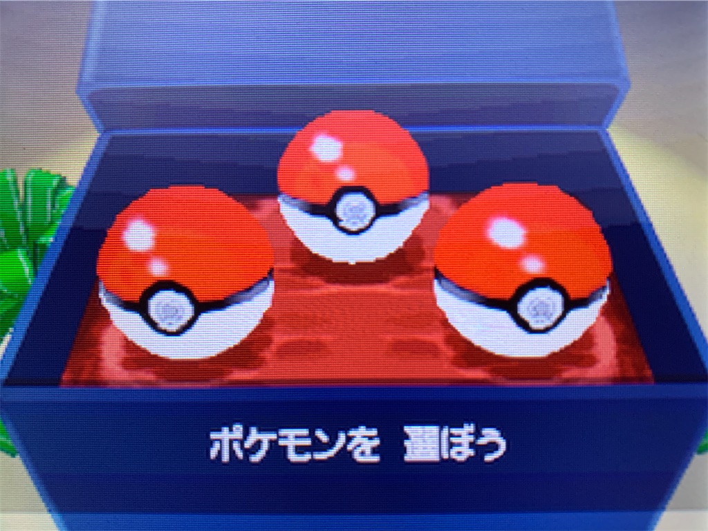 f:id:hoshi_dachi3:20201115215910j:image f:id:hoshi_dachi3:20201115215910j:image