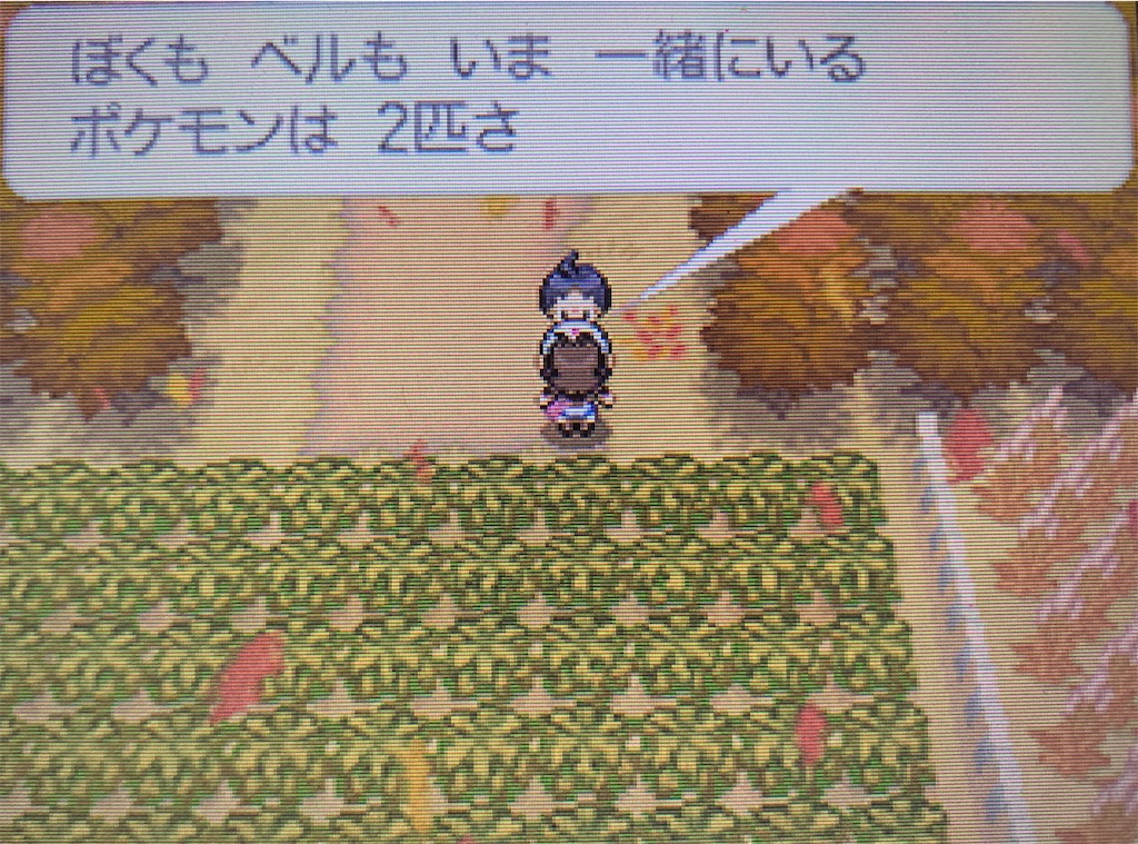 f:id:hoshi_dachi3:20201123182024j:image f:id:hoshi_dachi3:20201123182024j:image