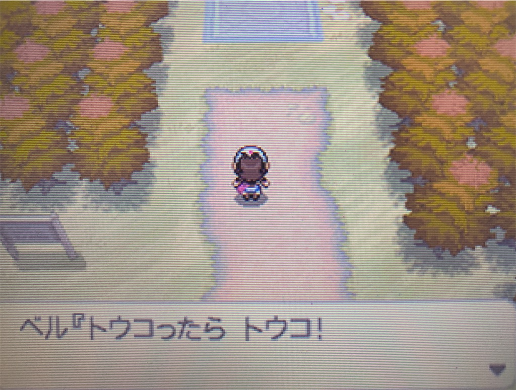 f:id:hoshi_dachi3:20201129111705j:image f:id:hoshi_dachi3:20201129111705j:image