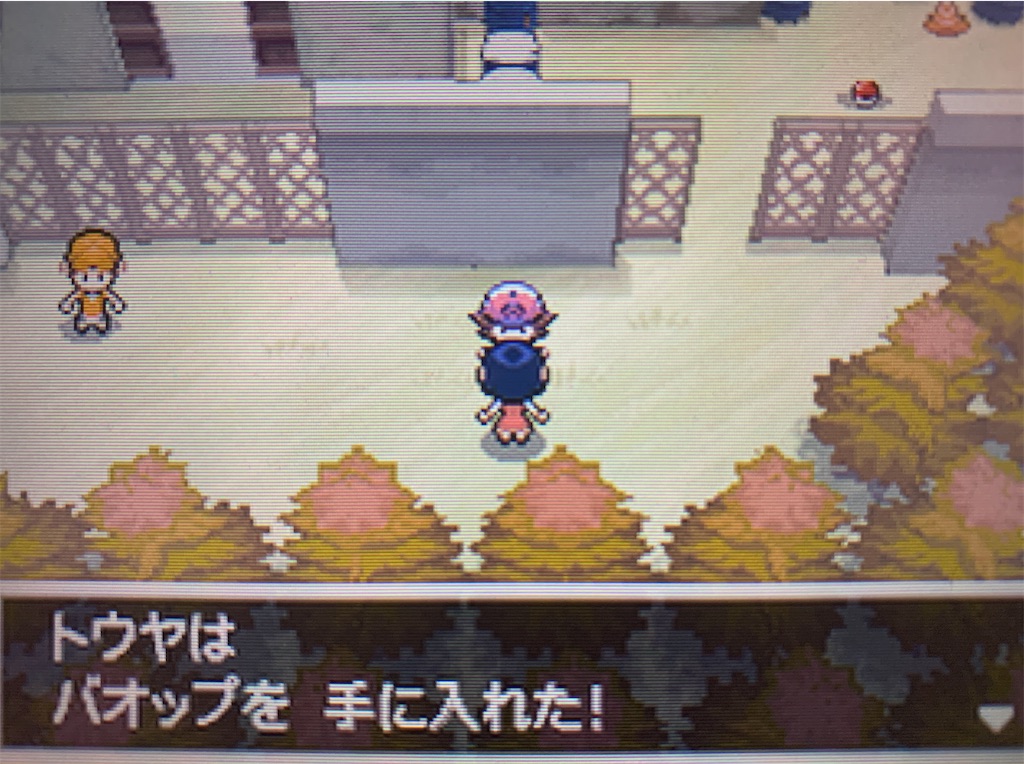 f:id:hoshi_dachi3:20201129114516j:image f:id:hoshi_dachi3:20201129114516j:image