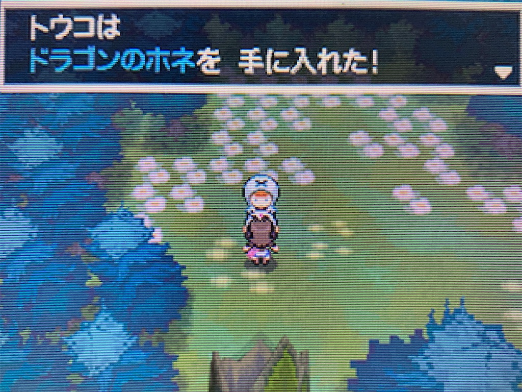 f:id:hoshi_dachi3:20201220153316j:image f:id:hoshi_dachi3:20201220153316j:image