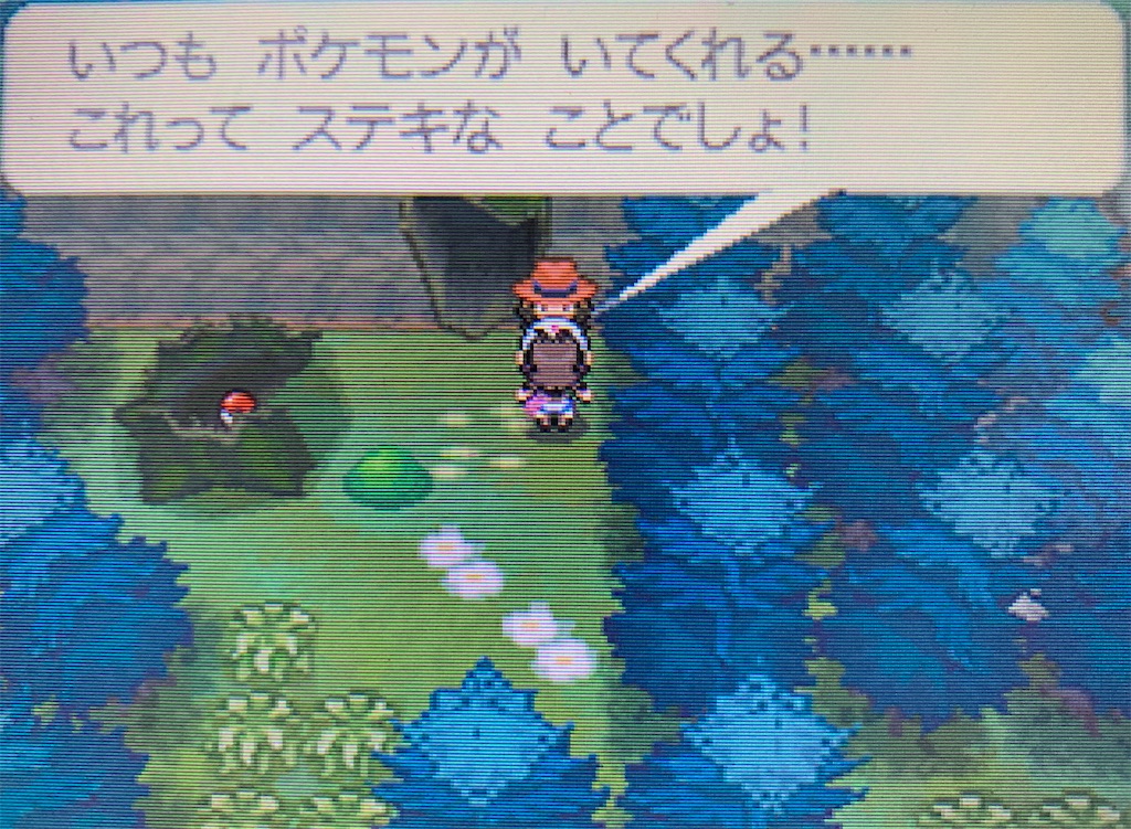 f:id:hoshi_dachi3:20201220153334j:image f:id:hoshi_dachi3:20201220153334j:image