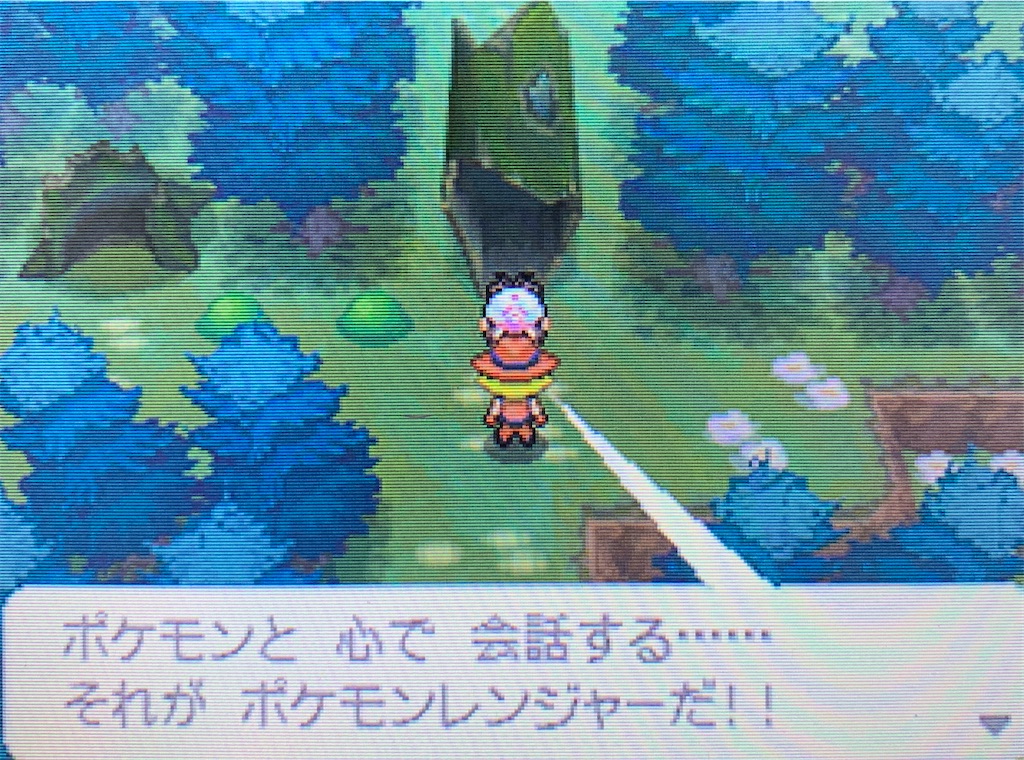 理想を尋ねて真実を知るイッシュ冒険レポート 星色気まぐれゲーム日誌