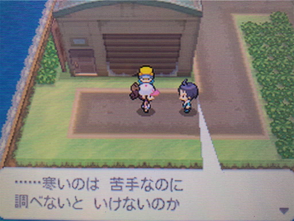 f:id:hoshi_dachi3:20210101203011j:image