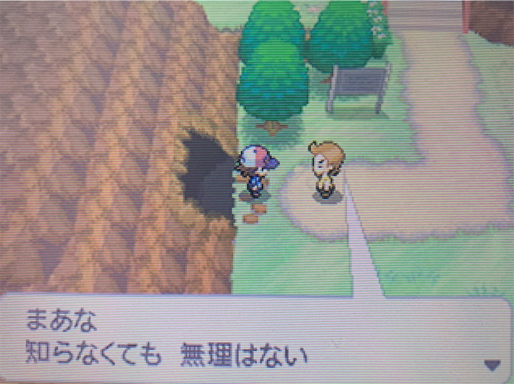 f:id:hoshi_dachi3:20210110155159j:image