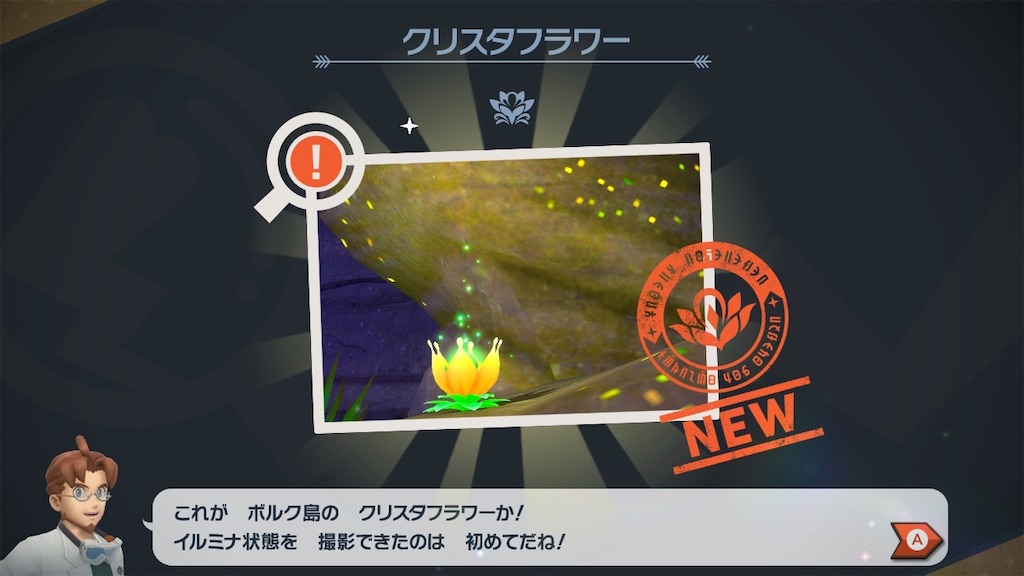 f:id:hoshi_dachi3:20210522082438j:image f:id:hoshi_dachi3:20210522082438j:image