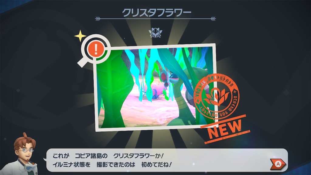 f:id:hoshi_dachi3:20210522082610j:image f:id:hoshi_dachi3:20210522082610j:image