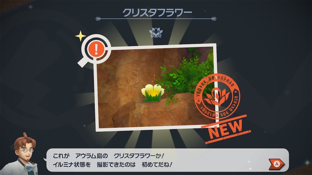 f:id:hoshi_dachi3:20210523180500j:image