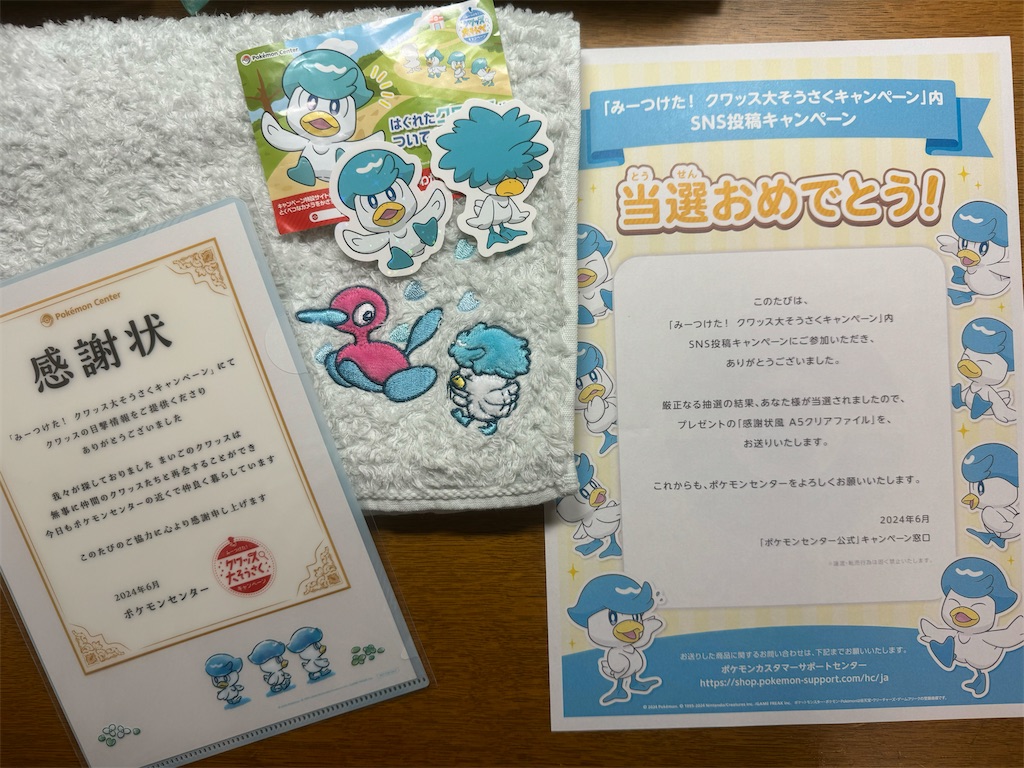 f:id:hoshi_dachi3:20240619082553j:image