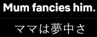 動詞のfancyの意味