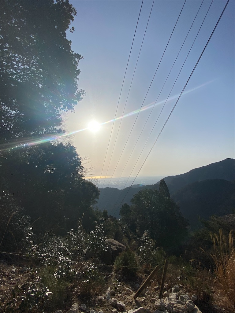 f:id:hoshico1110:20200327135750j:image f:id:hoshico1110:20200327135750j:image