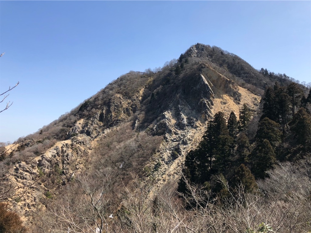 f:id:hoshico1110:20200327150308j:image f:id:hoshico1110:20200327150308j:image