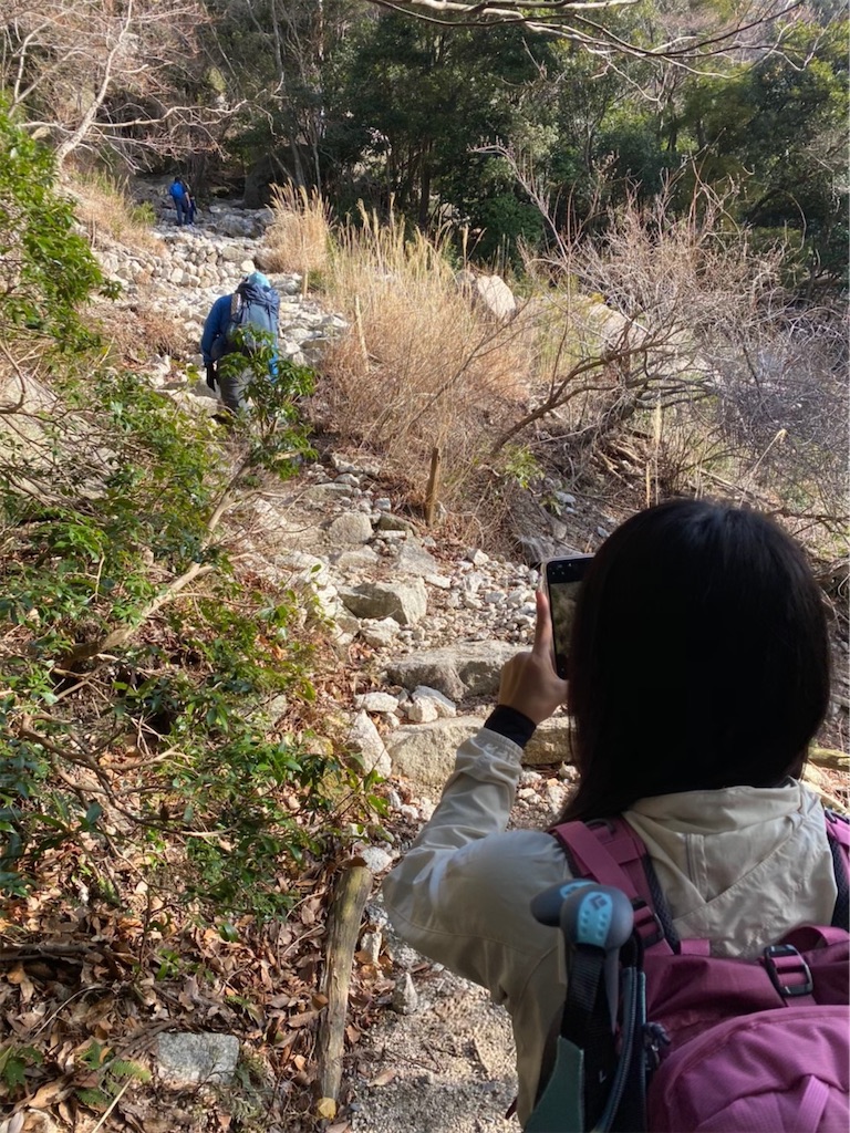 f:id:hoshico1110:20200327150354j:image f:id:hoshico1110:20200327150354j:image