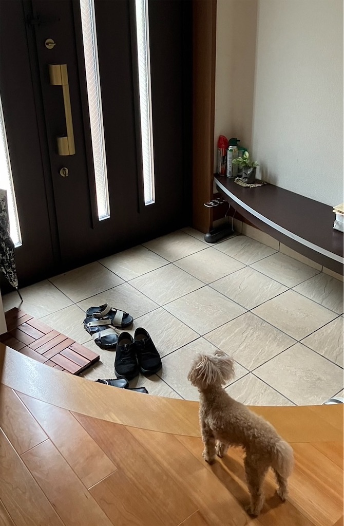 f:id:hoshico2525:20260323114802j:image
