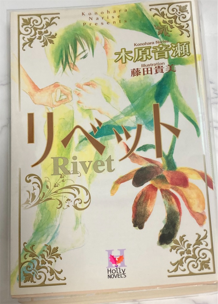 f:id:hoshida-ss:20201114001138j:image