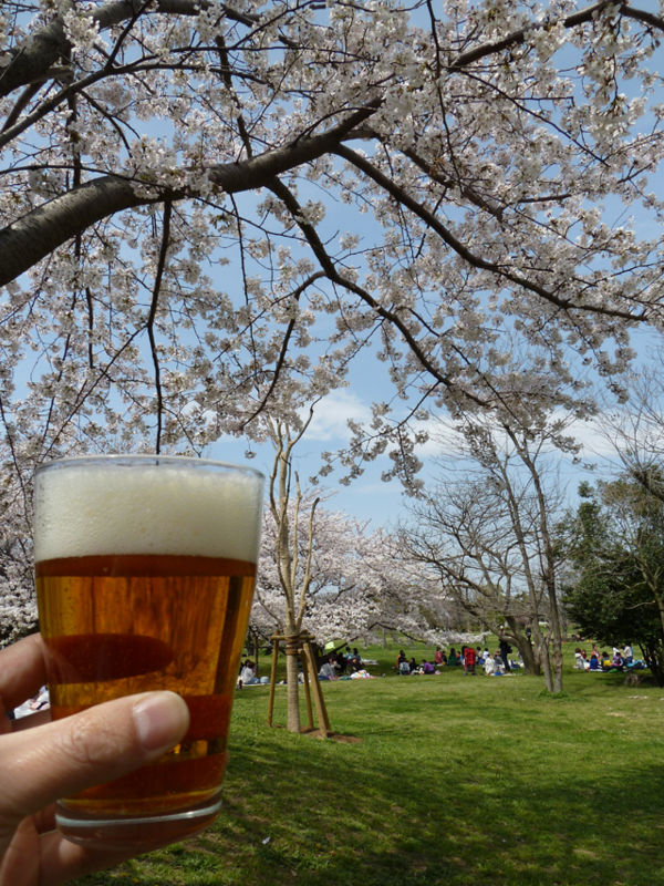 f:id:hoshidesign:20140401122522j:image:w640