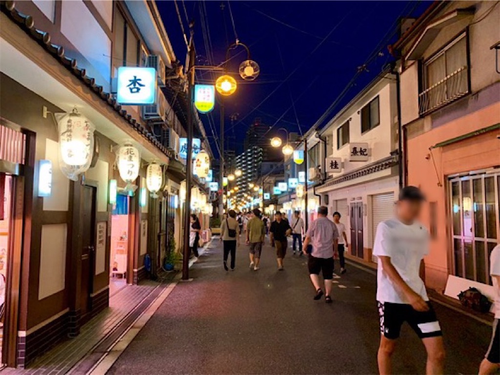 f:id:hoshidig:20190814235501j:image