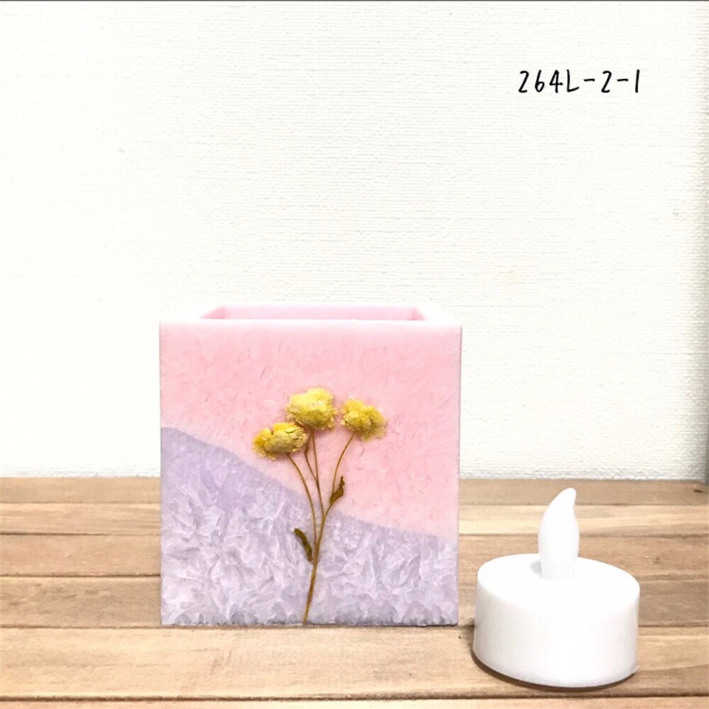 f:id:hoshifuruyoru:20211103092634j:plain