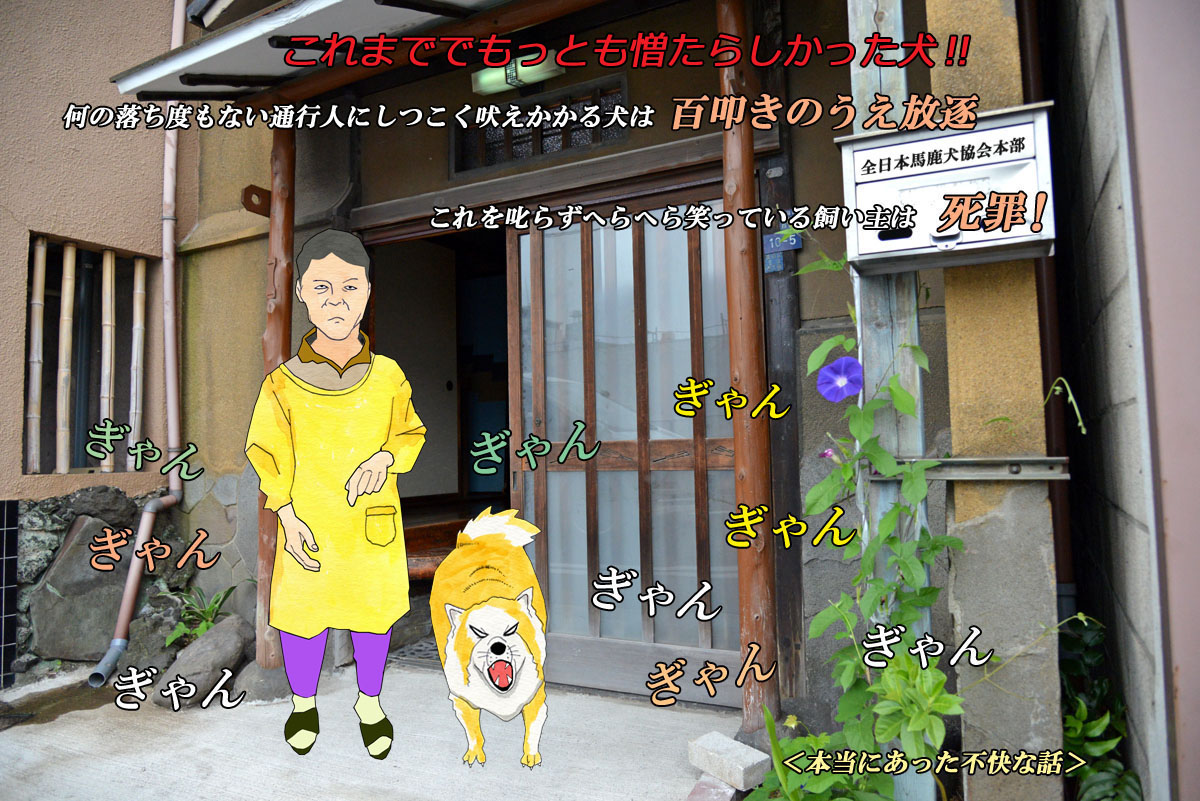f:id:hoshikubi:20191104042558j:plain