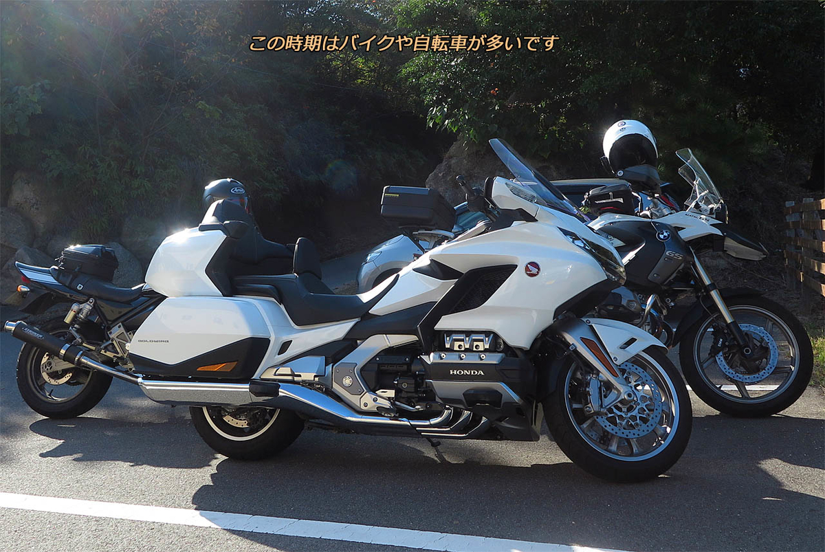 f:id:hoshikubi:20191105052056j:plain