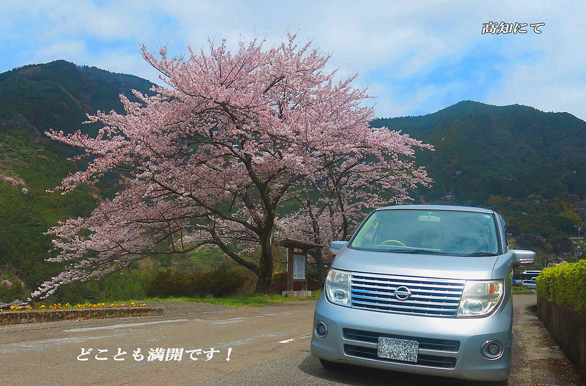 f:id:hoshikubi:20191127030046j:plain