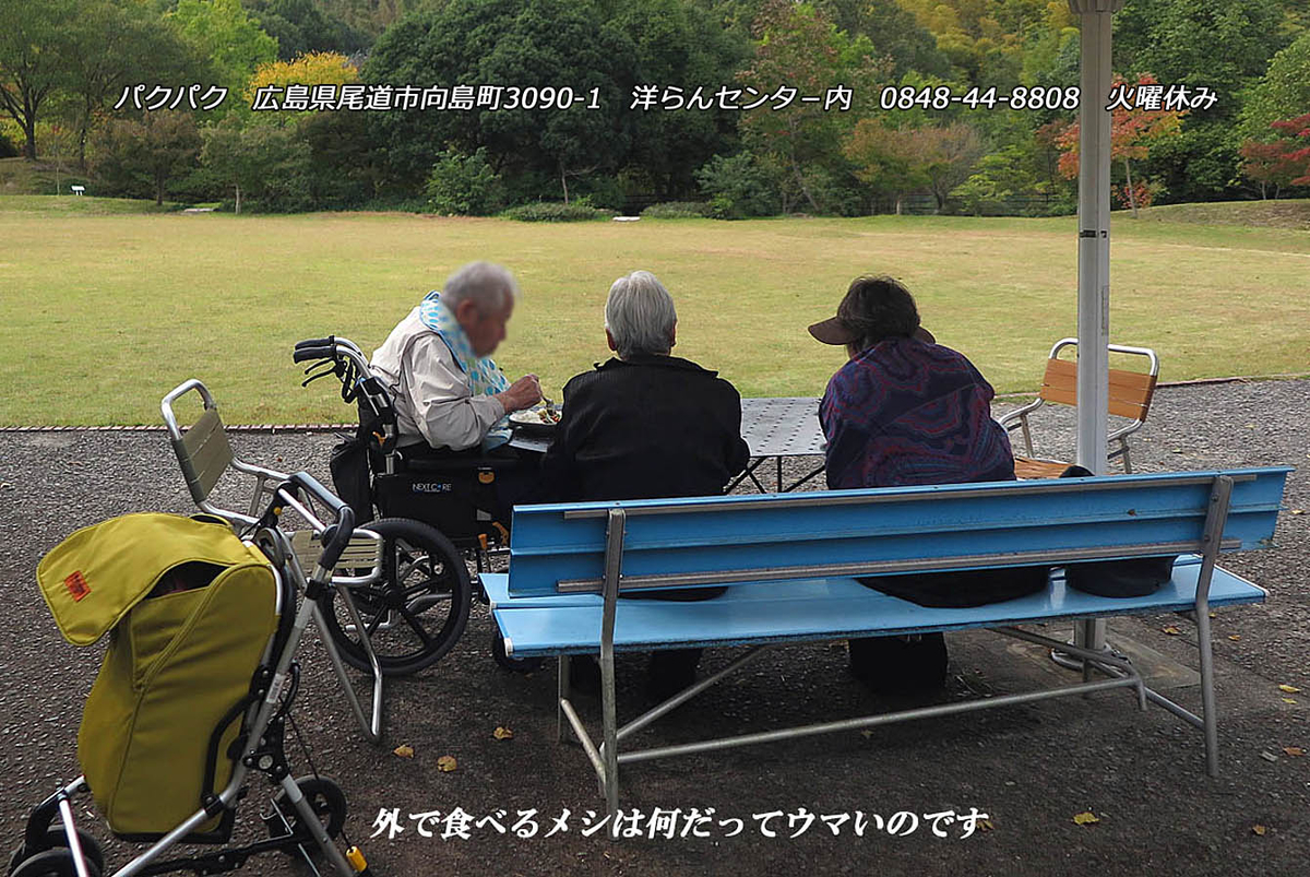 f:id:hoshikubi:20191201041722j:plain