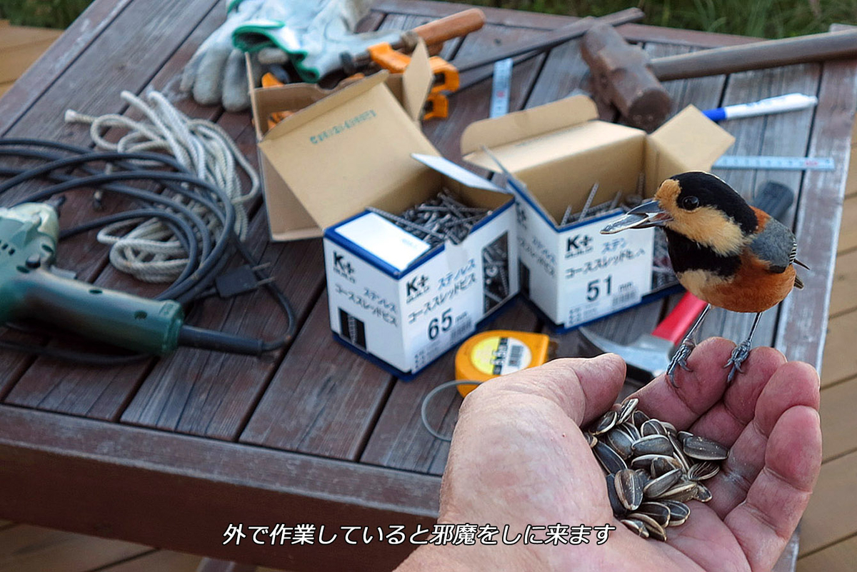 f:id:hoshikubi:20191206051309j:plain f:id:hoshikubi:20191206051309j:plain