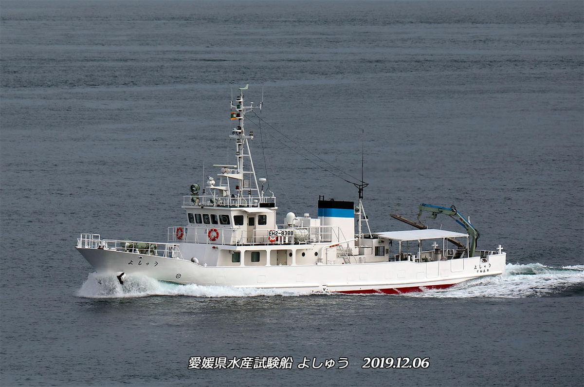 f:id:hoshikubi:20191207052653j:plain f:id:hoshikubi:20191207052653j:plain