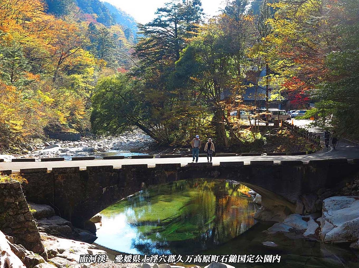 f:id:hoshikubi:20191207052926j:plain f:id:hoshikubi:20191207052926j:plain