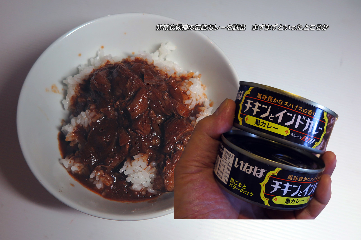 f:id:hoshikubi:20200601054122j:plain