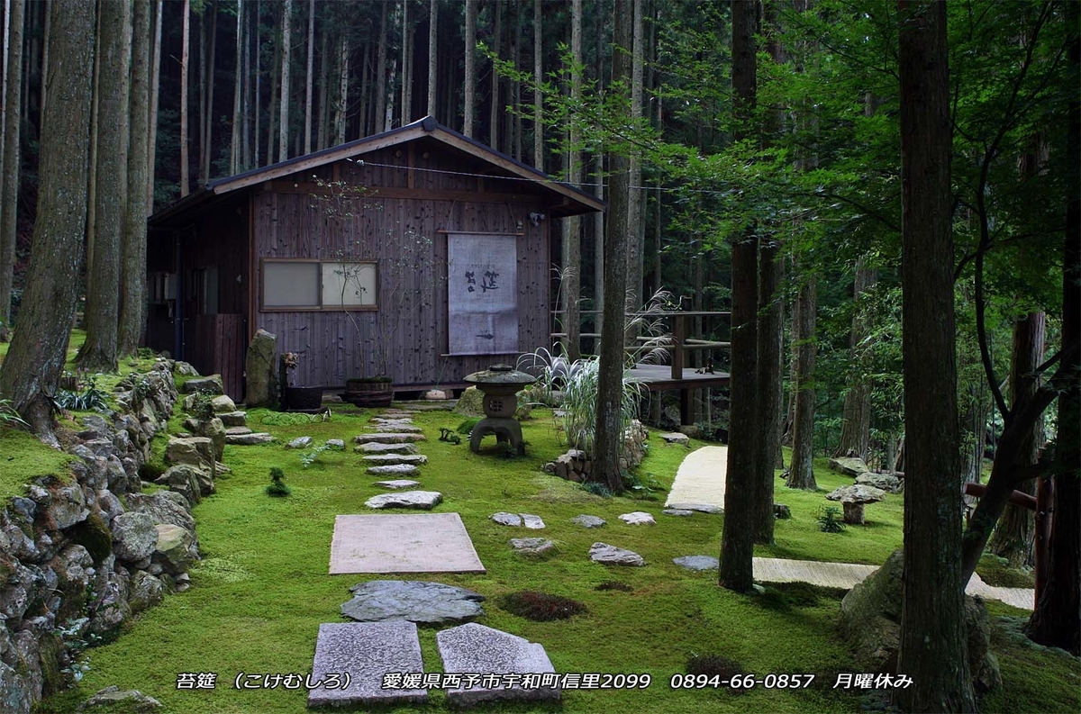 f:id:hoshikubi:20200611043839j:plain